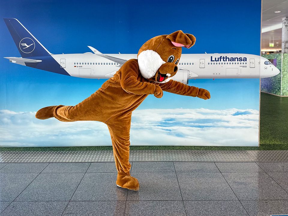 Lufthansa Airlines