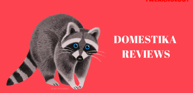 Domestika reviews