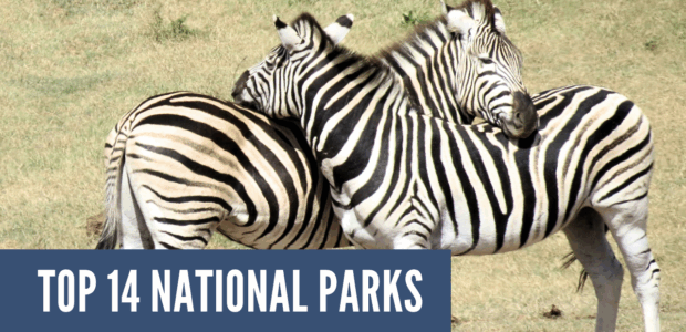 Top 14 National Parks to Visit This Summer