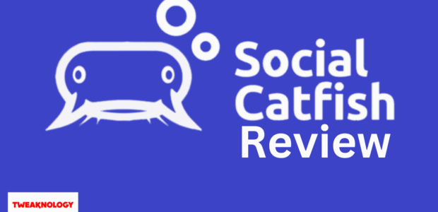 Social Catfish Review