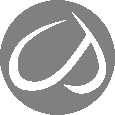 CRZ Yoga Logo