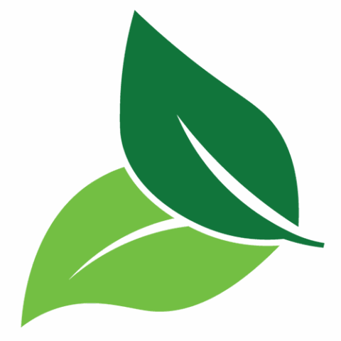 Vanera Logo